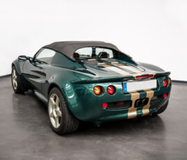 Ansicht von links eines grünen Lotus Elise Roadsters mit geschlossenem Verdeck und goldenen Rennstreifen.